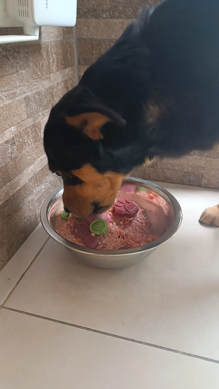 Comida natural BARF para Husky Siberiano en Quito