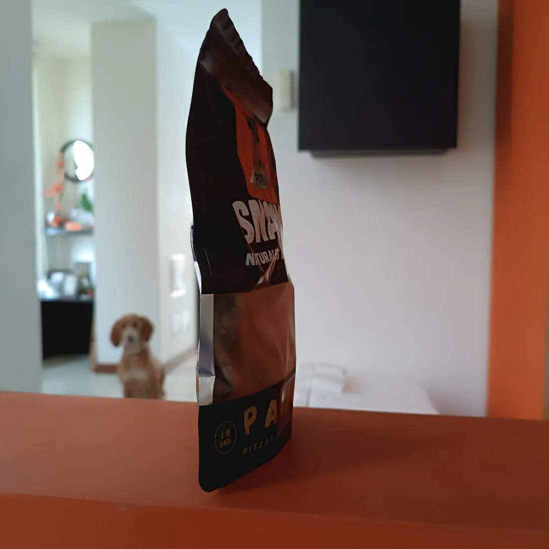 Dieta BARF para primerizos: guía sin complicaciones