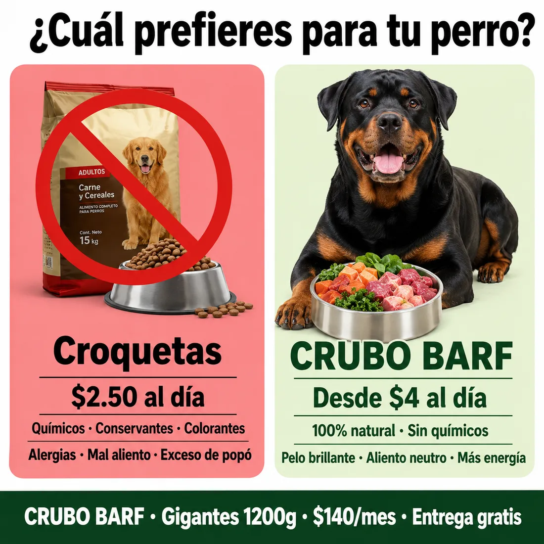 Los cambios que de verdad notas cuando tu perro come natural