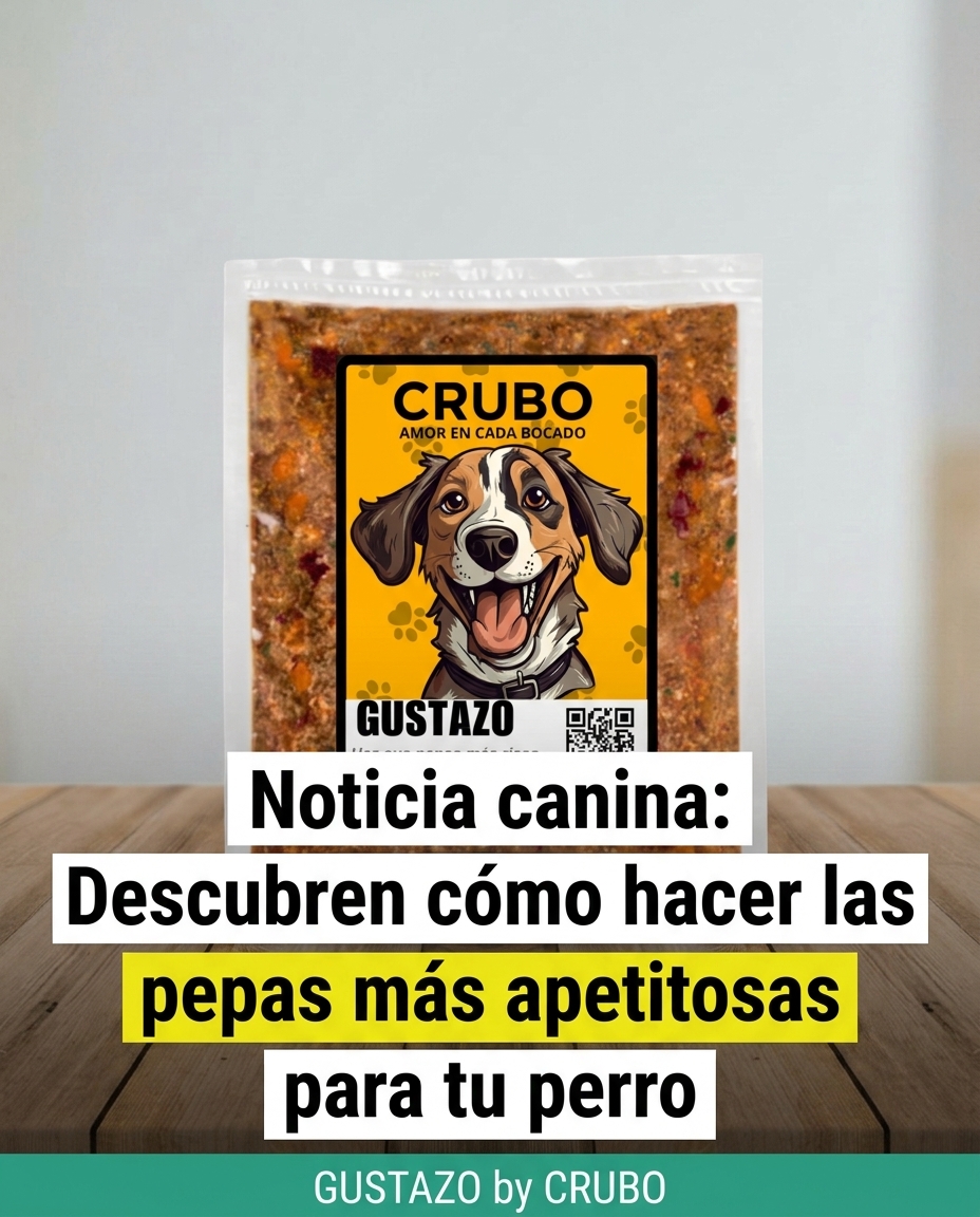 La noticia que los dueños de perros en Quito están compartiendo.